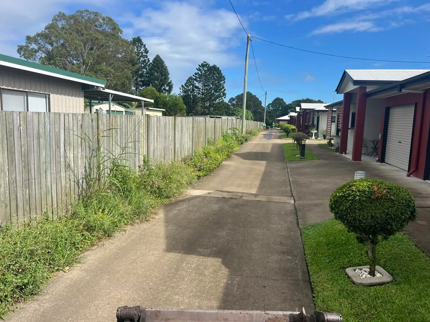 Overgrown weeds along a fence line before clearing